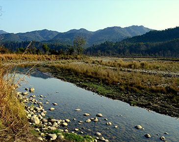 Sariska National Park 