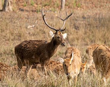 Keoladeo National Park