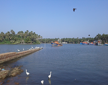 Kerela Beaches Tour